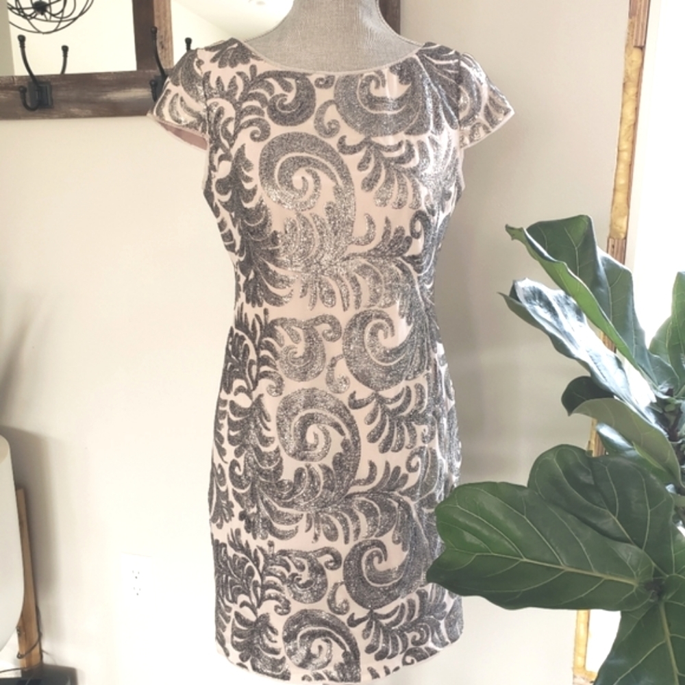 Adrianna Papell Cap Sleeve Sheath Silver Sequin Overlay Blush Chiffon Dress